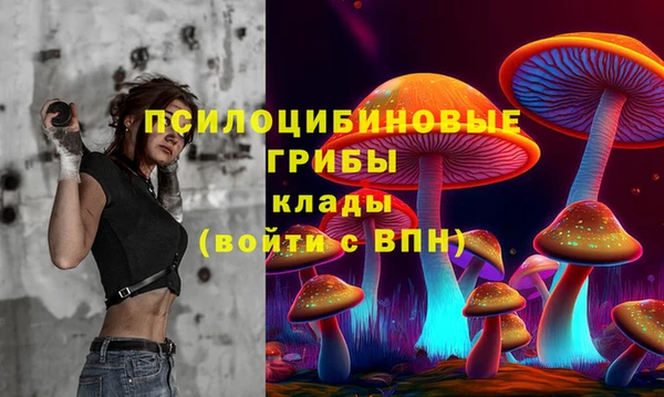 прущая мука Бородино